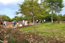 [카메라 뉴스] 대전, 한밭수목원의 가을빛 여행