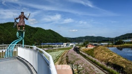 [카메라 뉴스] 하동 북천역 코스모스 만발