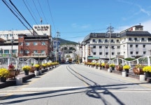 충주시 수안보면, 국화 향기에 취하다