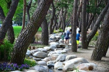 언택트 관광시대 제천의 신상 도심명소들