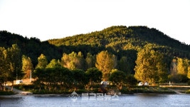 [불교공뉴스 창간10주년 특집] 코스모스 노을에 취하다