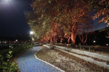 괴산군 청안면, 벚꽃길 경관조명 점등식 가져