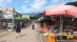 전국 어디서나 함께 해요!온택트 화개장터