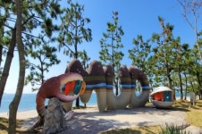 [카메라 뉴스] 대천해수욕장 가을 바다 감상하기