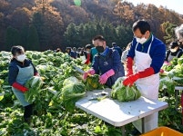 꽃동네 김장 자원봉사 팔 걷어붙인 맹동면