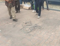 광양시 반달가슴곰 공존협의회, 회의 개최