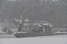 새해 첫날 백제고도 부여가 선보인 절경