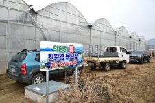 제천시, 의림지뜰 유채꽃 길 조성 착수