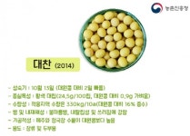 안동시, 2020년산 정부 보급종 콩 종자신청 하세요.