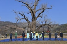 부여군 내산면, 주암2리 행단제(杏壇祭) 거행