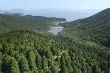 전남도, 2월 명품숲 고흥 나로도 편백숲