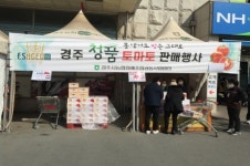 경주시 청품 토마토 특판행사 진행
