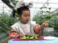 천안시, 어린이 농촌체험교실 신청하세요!