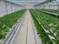 여수시, 원예작물분야 스마트팜 등 신기술보급 추진