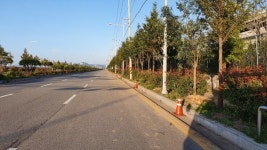 여수시, 산단 미세먼지 차단숲 근로자‧시민 건강 지킨다