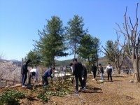 황간고, 식목일 맞아 나무 심기 행사 가져