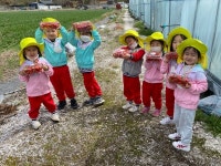 지리산 화개골 고사리들 딸기따기 체험학습