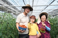 [잇다팜] 결초보은 속리산 방울토마토