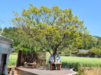 [제주여행3] 커피 거장 김영한 제주커피수목원 대표