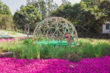 [영상뉴스] 제주 바다와 허브동산