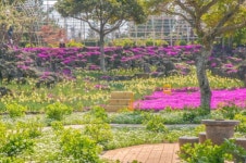 [영상뉴스] 제주 바다와 허브동산