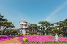 [영상뉴스] 제주 바다와 허브동산