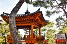 [불교공뉴스 TV] 대통령 별장 청남대의 봄 영상뉴스