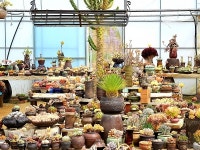 [영상뉴스] 보은군, 속리산 하늘빛식물원 야생화