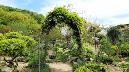 [영상뉴스] 보은군, 속리산 하늘빛식물원 야생화