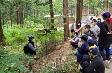 하동 적량초, 옥종 정티움·편백휴양림 오감길 체험학습