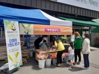 충북농기원,나리육성품종 농협 하나로마트 본격 출하