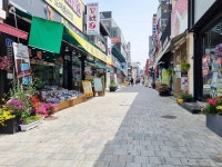 충주시, 도심 거리를 알록달록 꽃으로 물들인다.