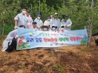 보은군 탄부면행정복지센터 직원, 생산적 일손봉사에 구슬땀
