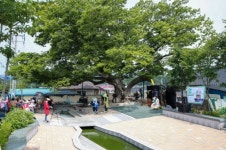 증평군, 지역연극단체와 문화가 있는 날 기획공연 손잡아