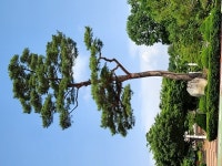 6월에 만나는 레인보우영동 과일나라테마공원 세계과일조경원