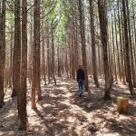 [힐링명소] 제주 남원읍 토종흑염소체험목장