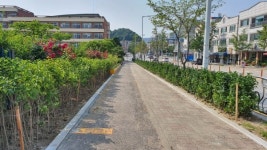 청주시, 용성초등학교 등하굣길을 숲길로 탈바꿈