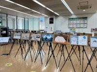 청주흥덕도서관,아기 북극곰의 외출 원화 전시