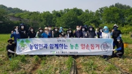 청주시 농업기술센터, 양파 수확철 맞아 영농지원 활동