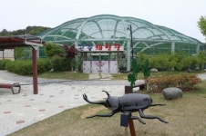 영동군 과일나라테마공원 곤충체험장에서 보는 나비의 일생
