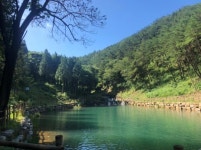 올 여름휴가는 안전하고 상쾌한 하동편백휴양림에서!