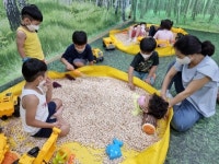 단양 내 유치원 편백 향 가득한 숲 놀이 공동교육활동 운영