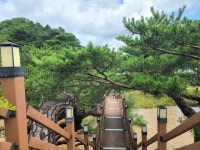 [카메라 뉴스] 영동군, 강선대(降仙臺)는 신선이 내려왔다는 곳!