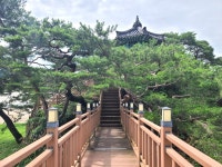 [카메라 뉴스] 영동군, 강선대(降仙臺)는 신선이 내려왔다는 곳!