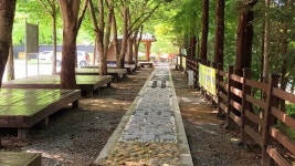 [영상뉴스] 옥천군, 장령산자연휴양림 피서지 인기