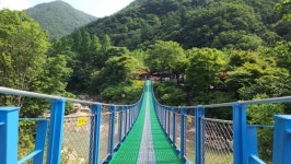 [영상뉴스] 옥천군, 장령산자연휴양림 피서지 인기