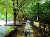 [영상뉴스] 옥천군, 장령산자연휴양림 피서지 인기