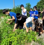 보광초 , 자연으로 물들인 여름방학 약속