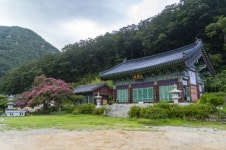 대전 근교 충북 영동군 드라이브 데이트 코스 소개