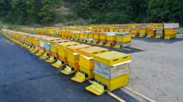 증평군농업기술센터, 저온농축시설 구축 고품질 벌꿀 생산에 박차